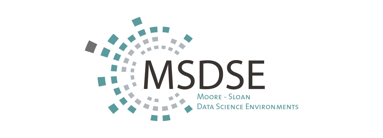 MSDSE logo