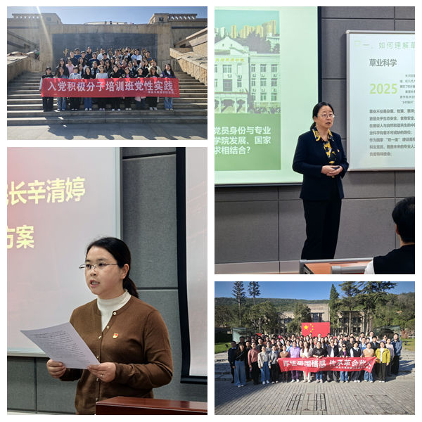 光影魔术手拼图.jpg
